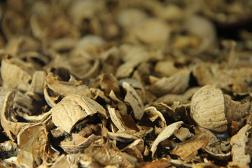 walnut shell
