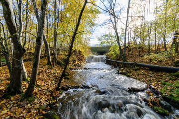 mountain river in autumn