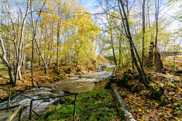 mountain river in autumn