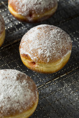 Gourmet Homemade Polish Paczki Donuts
