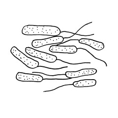 Vector black sketch bacteria isolated on white backgtound. Microbe in medical therapy. Germ illness element. Hand painted bacterium for medicine concept.
