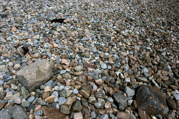 Many small multicolor stones and several big stones on a sea coast.