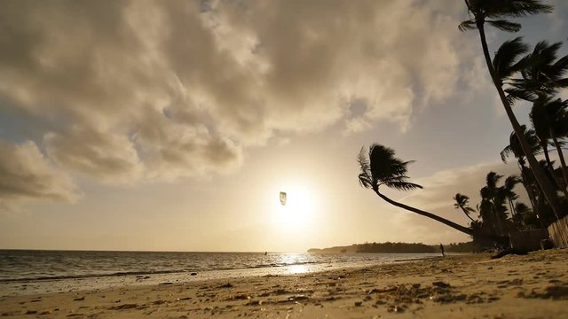 Lonely palm hanging on the beach during sunrise on Boracay. Morning kitesurfing swims on the waves. White beach at Boracay island, Philiphines.