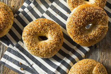 Round Warm Everything Bagels