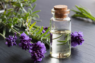 Obraz na płótnie Canvas A bottle of lavender essential oil with fresh lavender twigs