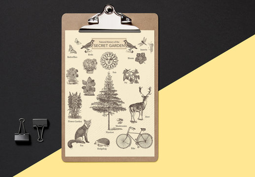 Antique Illustrated History of the Secret Garden Poster