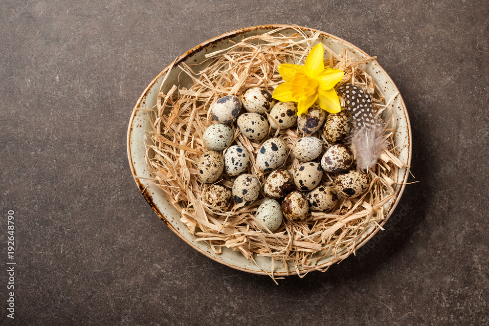 Poster Easter background with quail eggs and spring flower