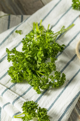 Raw Green Organic Curly Parsley