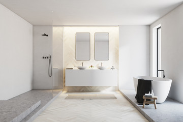 White and wooden bathroom interior