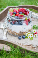 Fresh granola with yogurt and flowers in summer garden