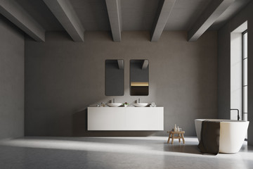 Interior of a gray bathroom with concrete floor