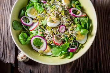 Closeup of green salad with quail egg, radish and onion