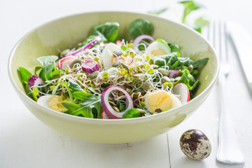 Closeup of salad with onion, quail egg and sprouts