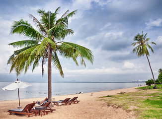 Thailand. Picturesque sandy beach with palm trees, sun beds and umbrella