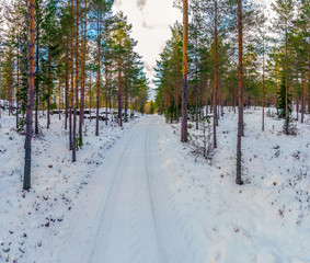 Wintery landscape in the cold season