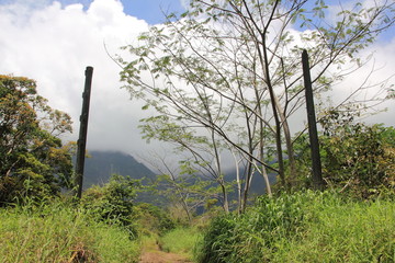 am Gate von Jurassic Park Kauai Hawaii USA