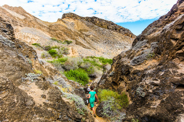 Tourists on the trails at the top of Punta Pitt