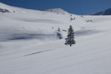 Winter landscape in the mountain