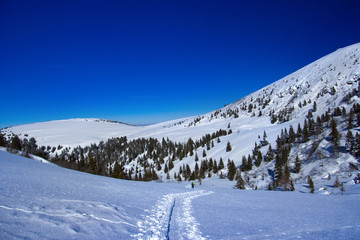 Fototapeta na wymiar Tour ski in Austria
