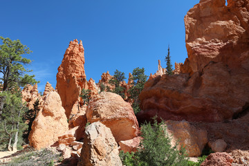 Fototapeta na wymiar Rock Hoodoos in Bryce Canyon National Park in Utah. USA