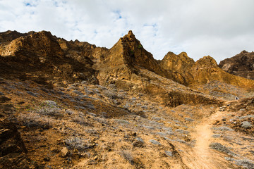 Trails in the upper part of Punta Pitt