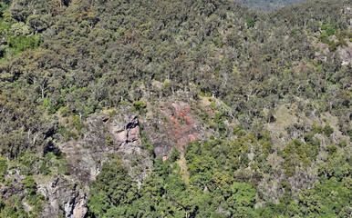 Landscape in Bunya National Park