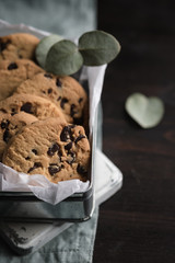 Chocolate chip cookies in the little box on dark old wooden table with eucalyptus leaf, freshly baked. Selective Focus. Romantic concept. Mothers day, Valentines day. Homemade.