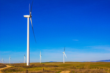 Energy Wind Mill Farm