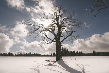 Czech winter in Ore mountains