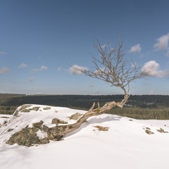 Czech winter in Ore mountains
