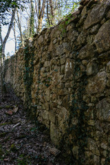 muro di pietra