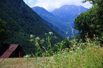 Obraz premium Blick in den Triglav Nationalpark