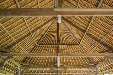 Bambus Struktur