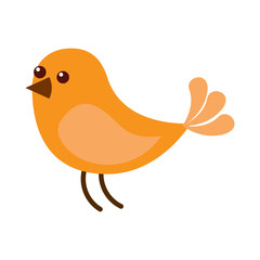 cute bird animal wildlife image vector illustration
