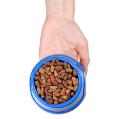 Dry food in a bowl for dogs and cats in hands