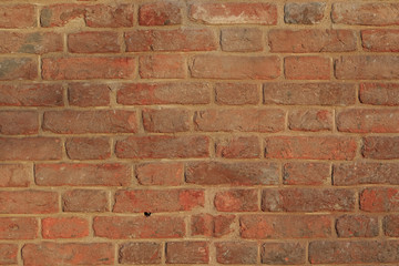 red brick wall texture grunge background with vignetted corners, may use to interior design