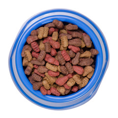 Dry food in a bowl for dogs and cats