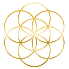 Golden Seed of Life. Precursor of Flower of Life symbol. Unique geometrical figure, composed of seven overlapping circles of same size, forming the symmetrical structure of a hexagon.