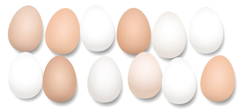 A dozen eggs. Twelve pieces with different white and brown tones, lying side by side, loosely arranged - isolated vector illustration on white background.