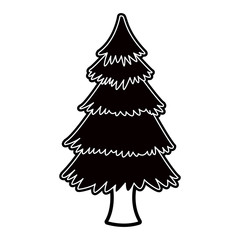 Tree pine isolated icon vector illustration graphic design