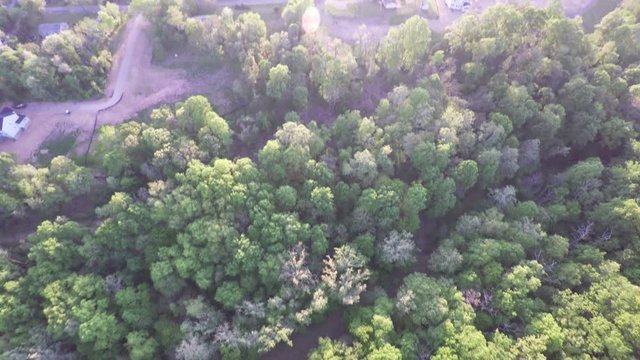 3542 Aerial Sunset Forest Trees, 4K