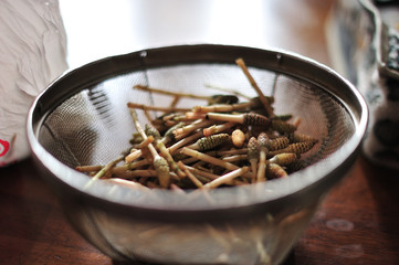 日本のおいしい食べ物