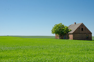 Obraz premium Isolated and abandoned farmhouse in Poland.