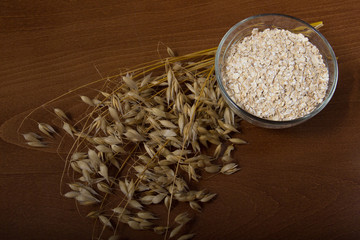 Oat ears stems and oat flakes in a bowl on a dark brown wood background. Top view. oat flakes small size grind. Copy space in bottom. Useful fiber-rich product. Dietary breakfast from healthy foods