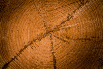 Holz Hintergrund blank rustikal alt