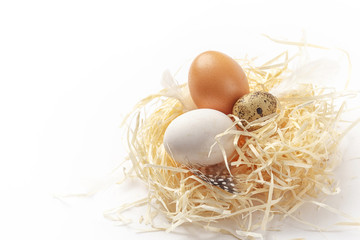 still life of eggs, Easter ggs on the dry grass