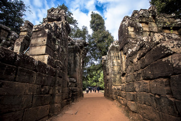 Fototapeta na wymiar Siem Reap Angkor Wat Ta Prohm Tomb Raider movie location