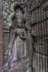 Siem Reap Angkor Wat apsara dancer ancient stone carving on wall and pillar