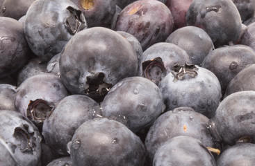 Isolated, close-up of blueberries 
