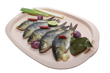 5 Raw Freshwater Fish In Classy Plate, With Garlic, Onion, Leek, Chili And Lime 4